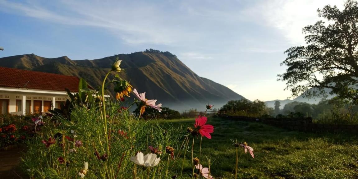Rinjani Hill Hotel Sembalunlawang Exterior photo